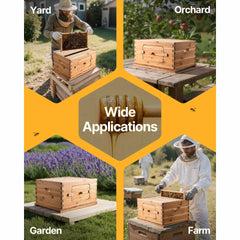 Bee Hive 30 Frame Bee Hives Starter Kit, Beeswax Coated Fir Wood, 2 Deep + 1 Medium Bee Boxes Langstroth Beehive Kit, Transparent Acrylic Windows with Foundations for Beginners Pro Beekeepers