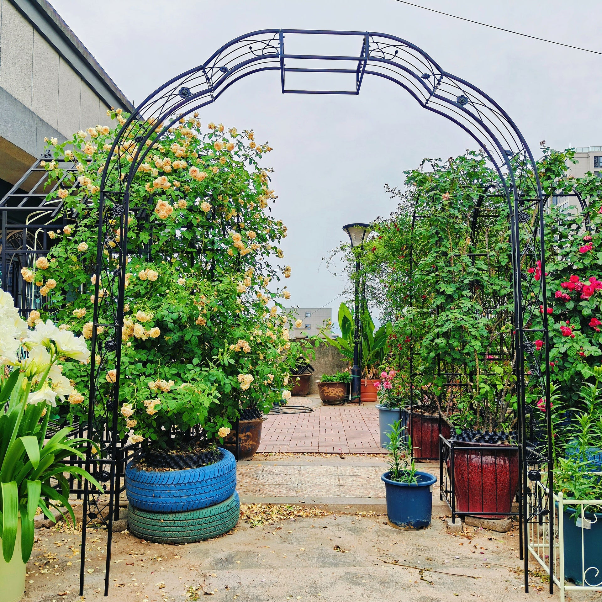 Metal Garden Arch W74.4'' x H98.4'' Garden Arbor Trellis Climbing Plants Support Rose Arch Outdoor Arch Black