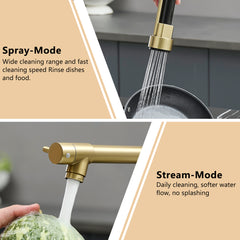 Commercial Kitchen Faucet with Pull Down Sprayer, Stainless Steel Single Handle Single Lever Kitchen Sink Faucet
