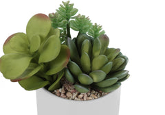 Artificial Plant, 7" Tall, Succulent, Indoor, Faux, Fake, Table, Greenery, Potted, Set Of 2, Decorative, Green Plants, White Ceramic Pots