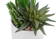 Artificial Plant, 7" Tall, Succulent, Indoor, Faux, Fake, Table, Greenery, Potted, Set Of 2, Decorative, Green Plants, White Ceramic Pots
