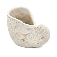 8.5x5.5x6.3" Sand and Cement Nautilus Shell Planter with Textured Beige Finish