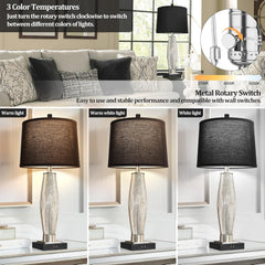 Table Lamps Set of 2, Bedroom Lamp with USB A+C Charging Ports, Modern Glass Beside Lamps for Living Room Rotary Switches, Black Nightstand Lamp Home Lights Decor (LED Bulbs Included)