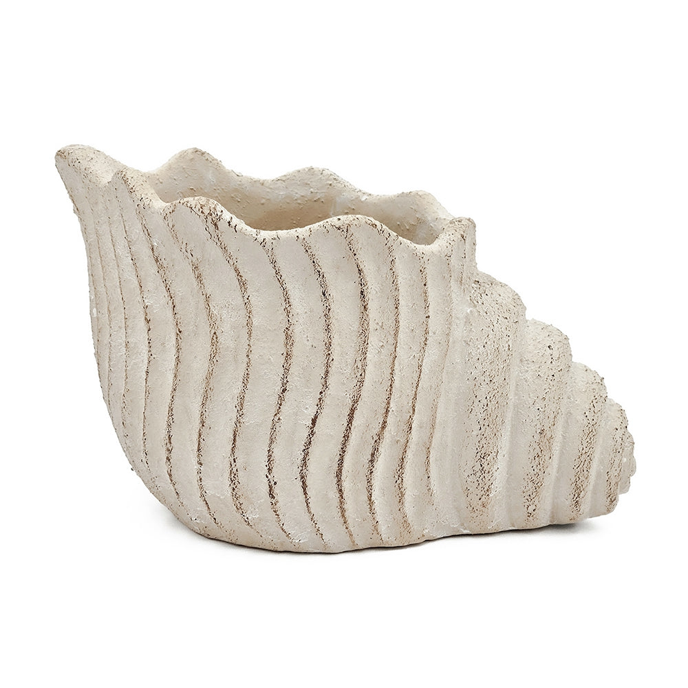 11.5x7x7" Sand and Cement Nautilus Shell Planter with Textured Beige Finish