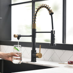 Purifier Kitchen Faucet Drinking Water Faucet, Pull Down Water Filter Kitchen Sink Faucets (Black and Nickel gold )