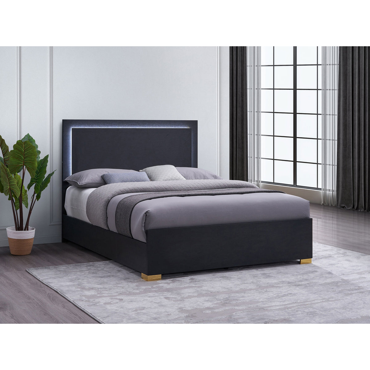 Medici Black Eastern King LED Headboard Bed