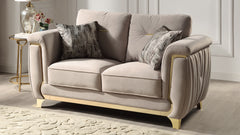 Leena Contemporary Style Upholstery 2PC Livingroom Set Made with Wood in Gold accent & Beige