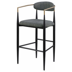 Renfroe Dark Grey Fabric Upholstered Bar Chair (Set of 2)