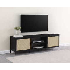 Kenneth Black 2-door Metal TV Stand