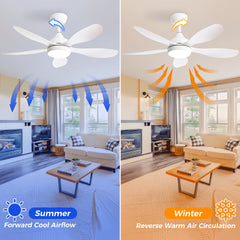 42 Inch Ceiling Fan with Light and Remote Cotnrol 6 Speeds DC Reversible Motor