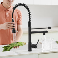 Commercial Kitchen Faucet with Pull Down Sprayer, Single Handle Single Lever Kitchen Sink Faucet