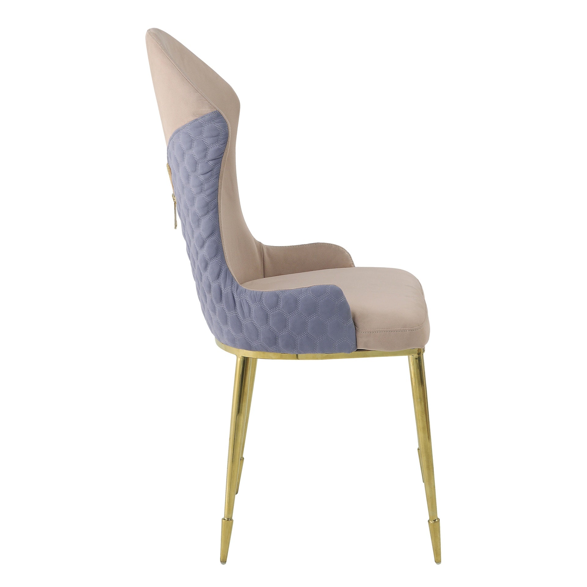 Tan and Gold Sloped Arms Dining Chairs (Set of 2)