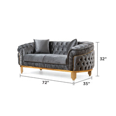 VANESSA 2 PC Livingroom Set in Grey and Gold with Fabric button-tufted velvet upholstery Finish (NJ INVENTORY)