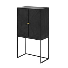 31.5x16.5x60" Cabinet, Black