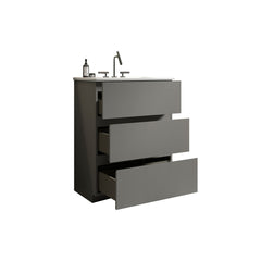 TIA 24" Gray Bathroom Vanity with Sink with 3 Faucet Holes, Large Storage Freestanding Bathroom Vanity for Modern Bathroom, One-Piece White Sink Basin without Drain and Faucet, Pre-assembled