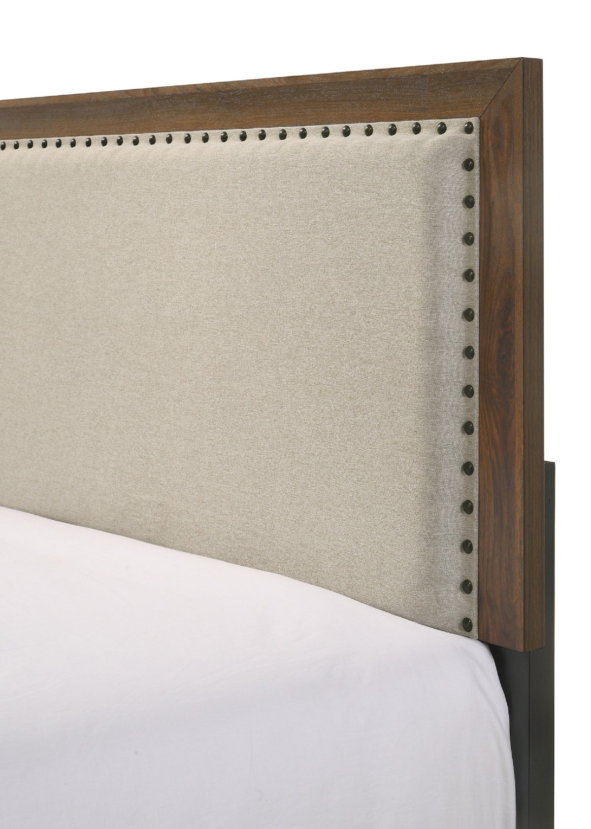 Brown Cherry Finish Fabric Upholstered Headboard Tufted Nailhead Trim 1pc Twin Size Youth Kids Panel Bed Beautiful Wooden Bedroom Furniture