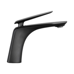 Single Hole Bathroom Sink Faucet with Pop Up Drain and Water Supply Hose, Single Handle Bathroom faucet