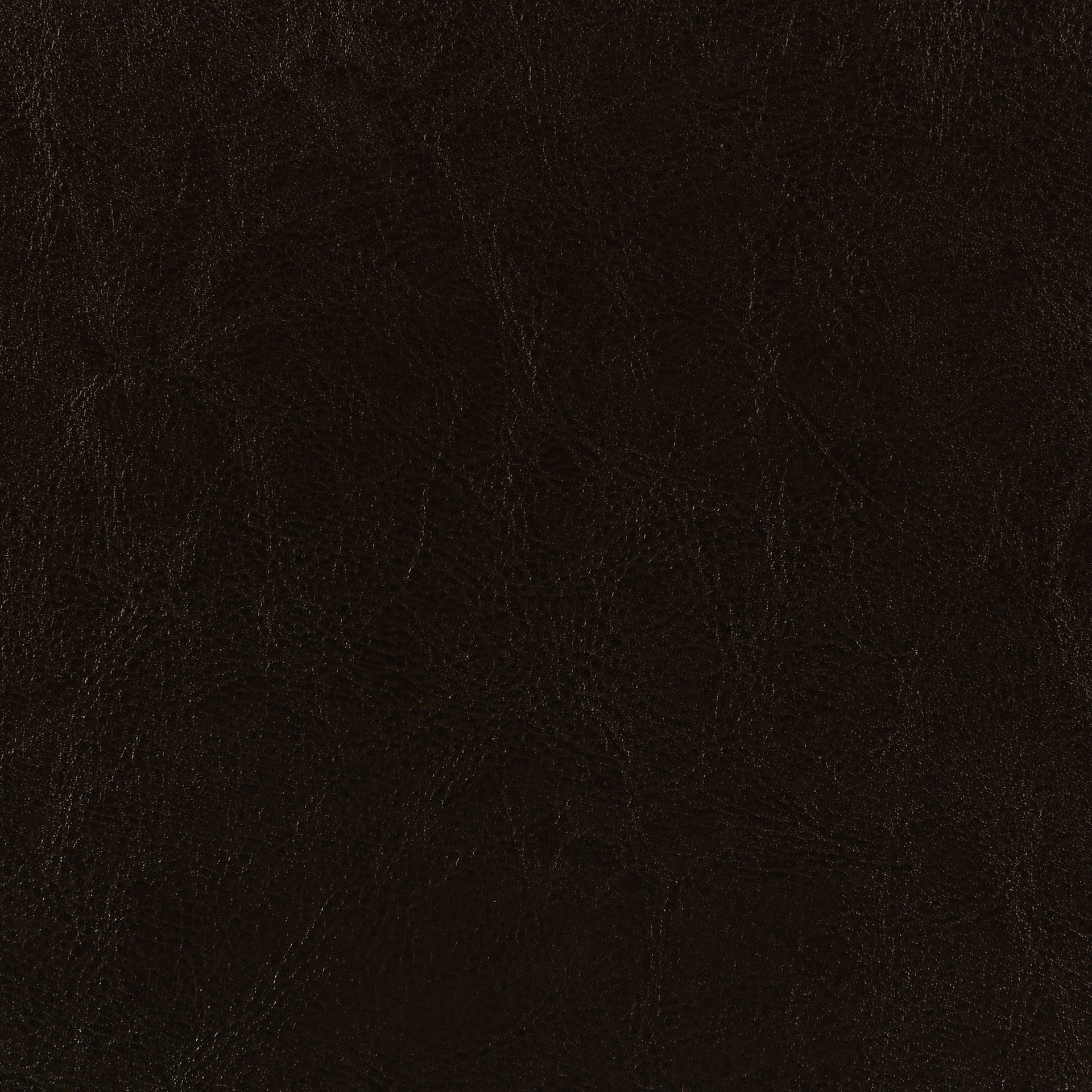 Warwick Brown Upholstered Eastern King Panel Bed