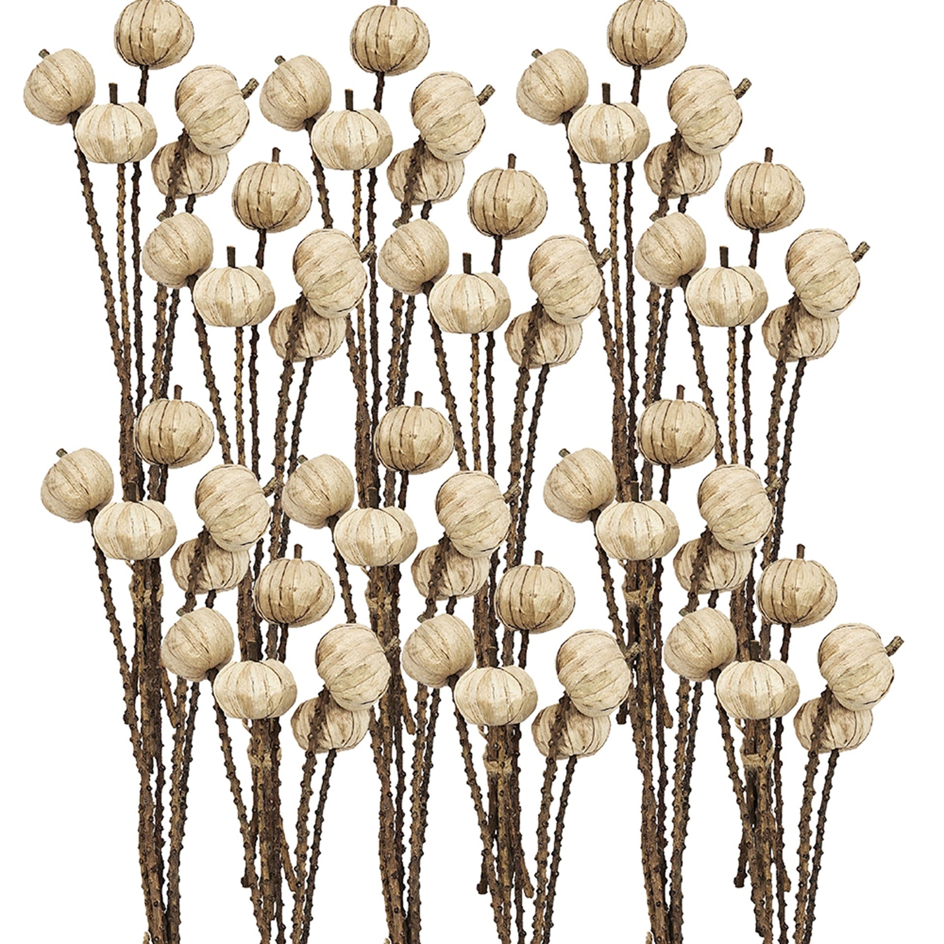 Set of 12, 23.5"   5Pcs/Bunch Pumpkin Pod Twig Stem
