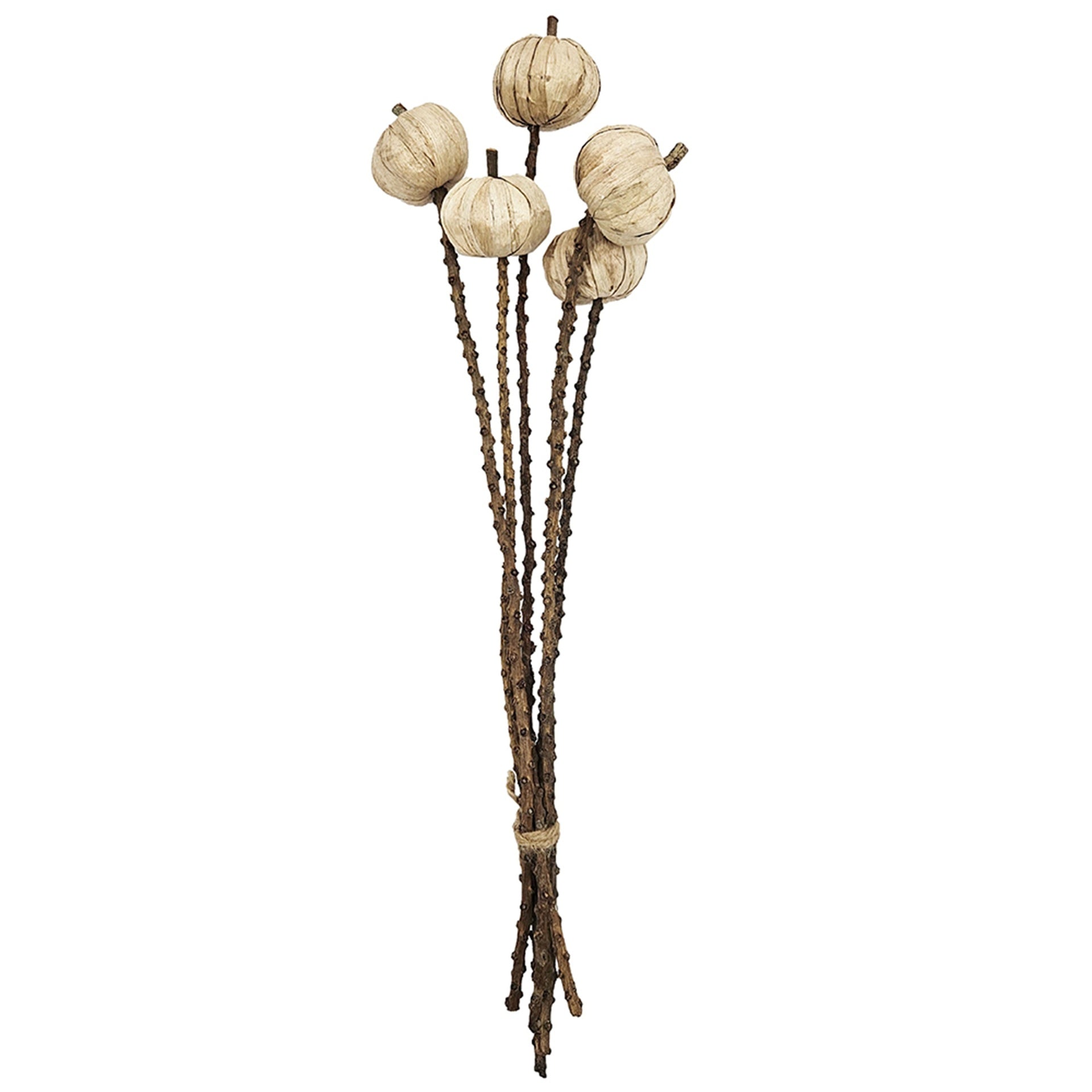 Set of 12, 23.5"   5Pcs/Bunch Pumpkin Pod Twig Stem