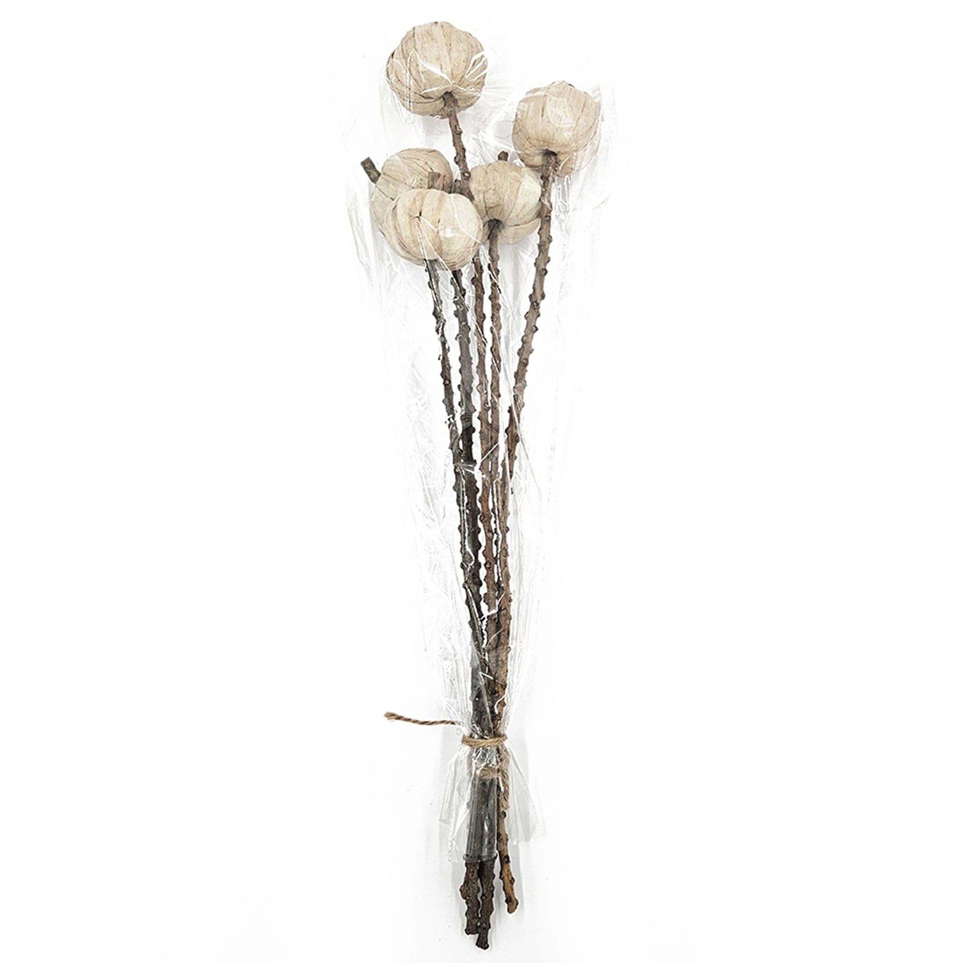 Set of 12, 23.5"   5Pcs/Bunch Pumpkin Pod Twig Stem