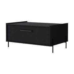 Wenge Coffee Table with Flip-Down Door