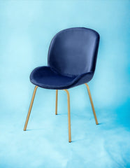 Chuchip Blue Velvet & Gold Finish Side Chair(Set of 2)