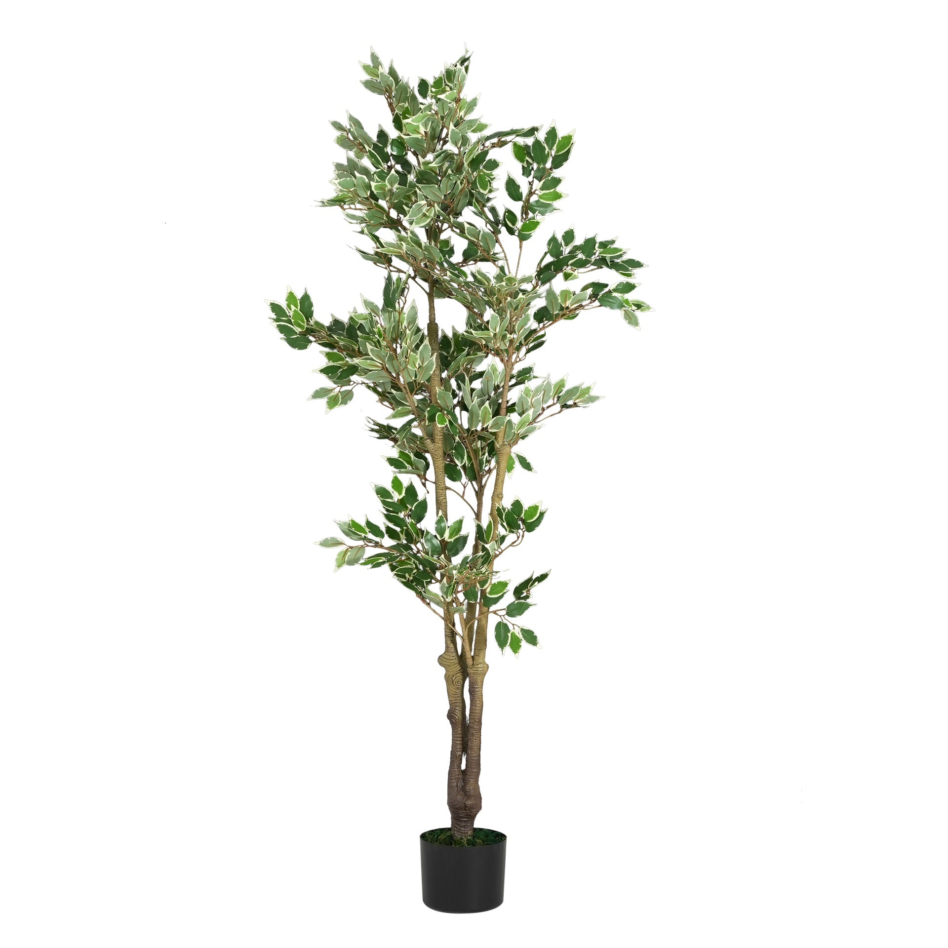 69" Artificial Ficus Tree with Black Plastic Pot