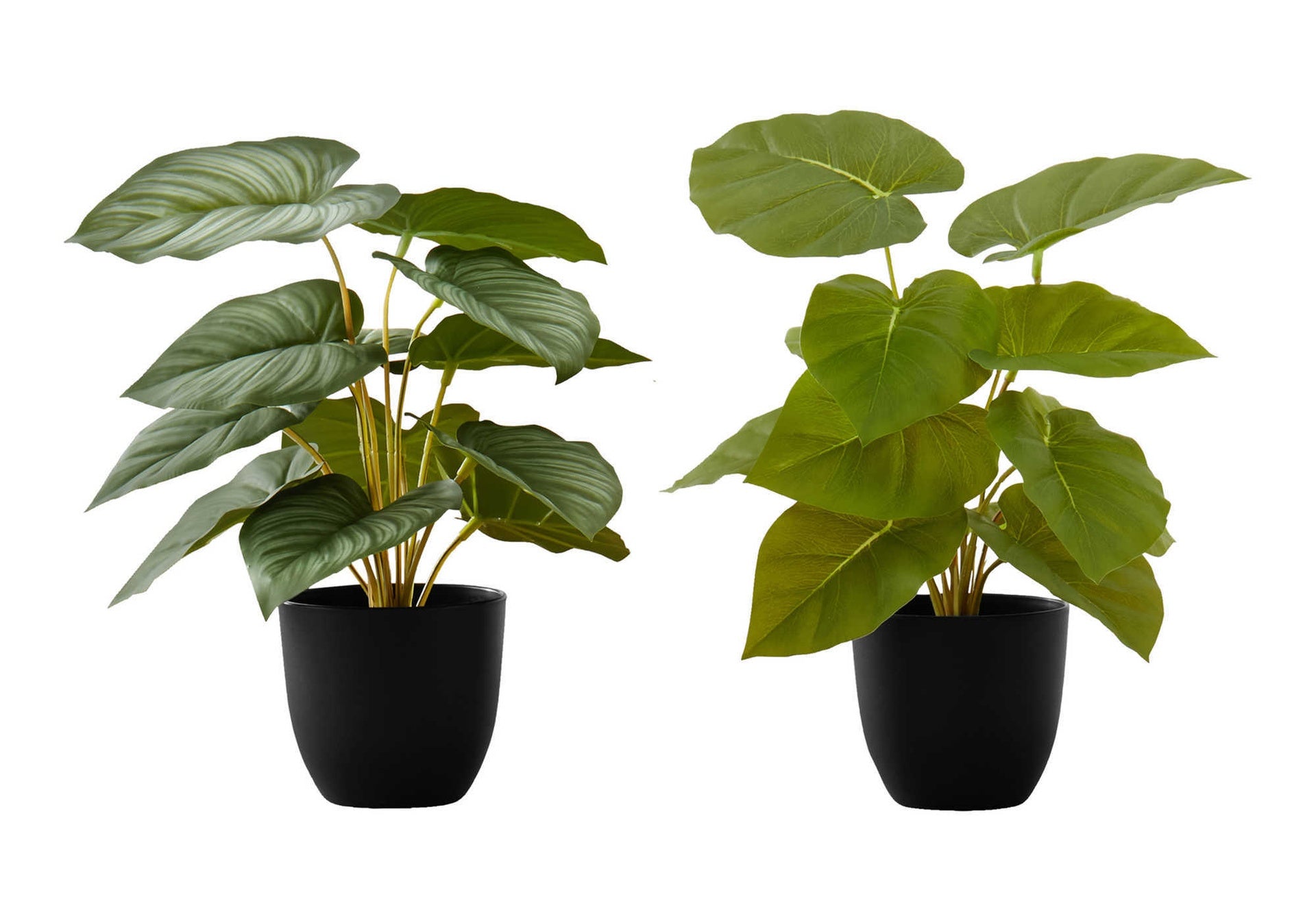 Artificial Plant, 13" Tall, Epipremnum, Indoor, Faux, Fake, Table, Greenery, Potted, Set Of 2, Decorative, Green Leaves, Black Pots