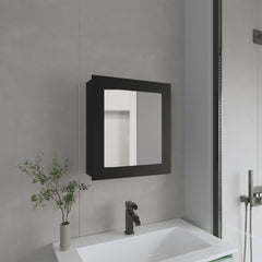 Medicine Cabinet 20.5" H, with 2 Shelves, 1 Door, and 1 Mirror, Black