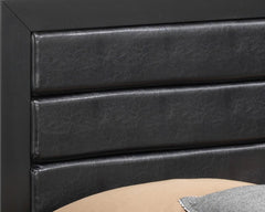 Sleek Transitional Black Storage Bed