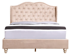 Elegant Transitional Full Upholstered Bed