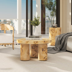 Nebula 28" Round Pillar Leg Coffee Table, Warm Natural Brown Burl Wood