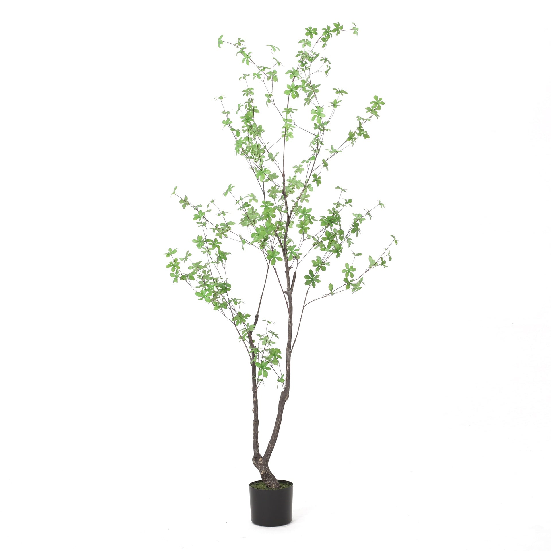 180CM ARTIFICIAL DISC LEAF TREE