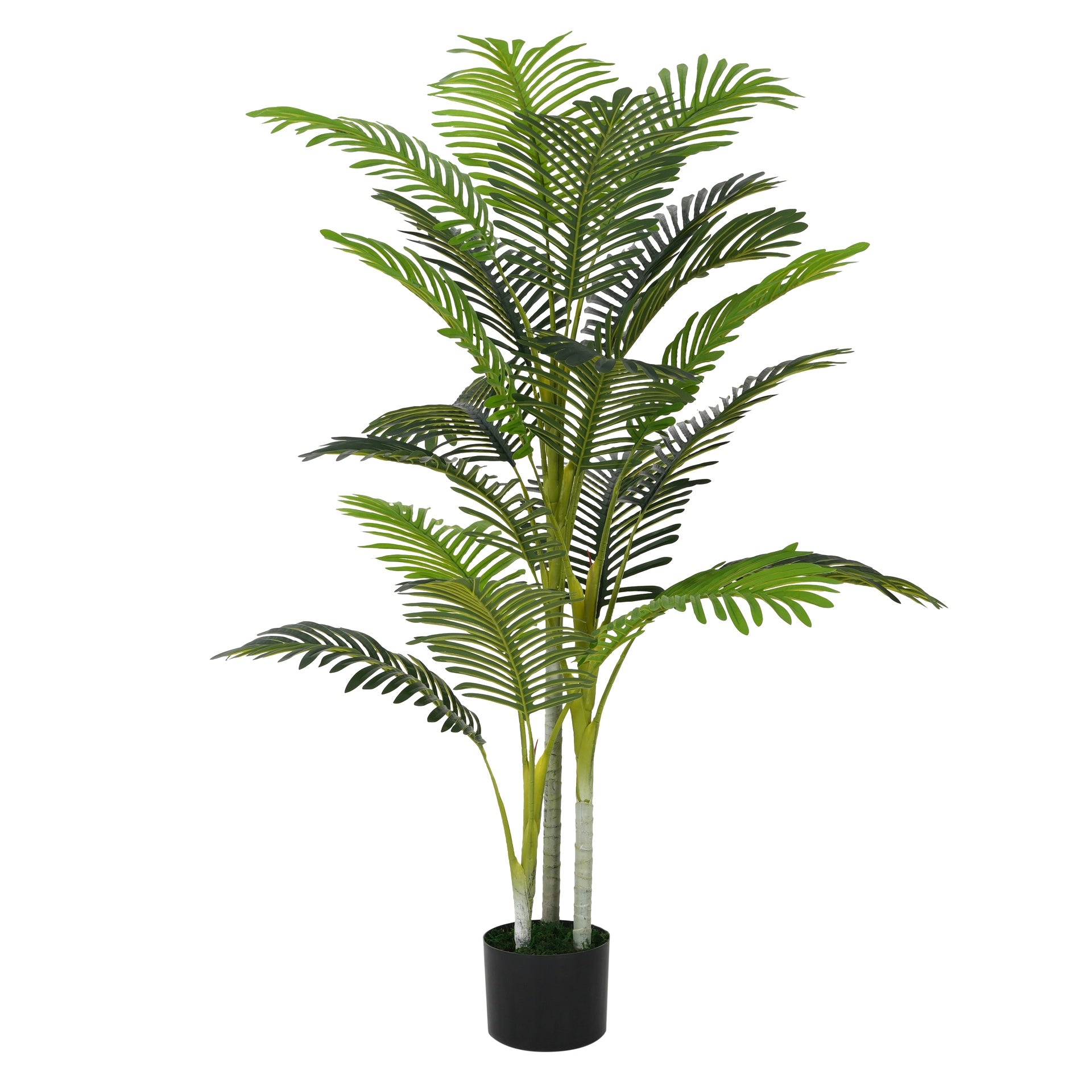 61" Artificial Palm Tree with Black Plastic Pot, Set of 2