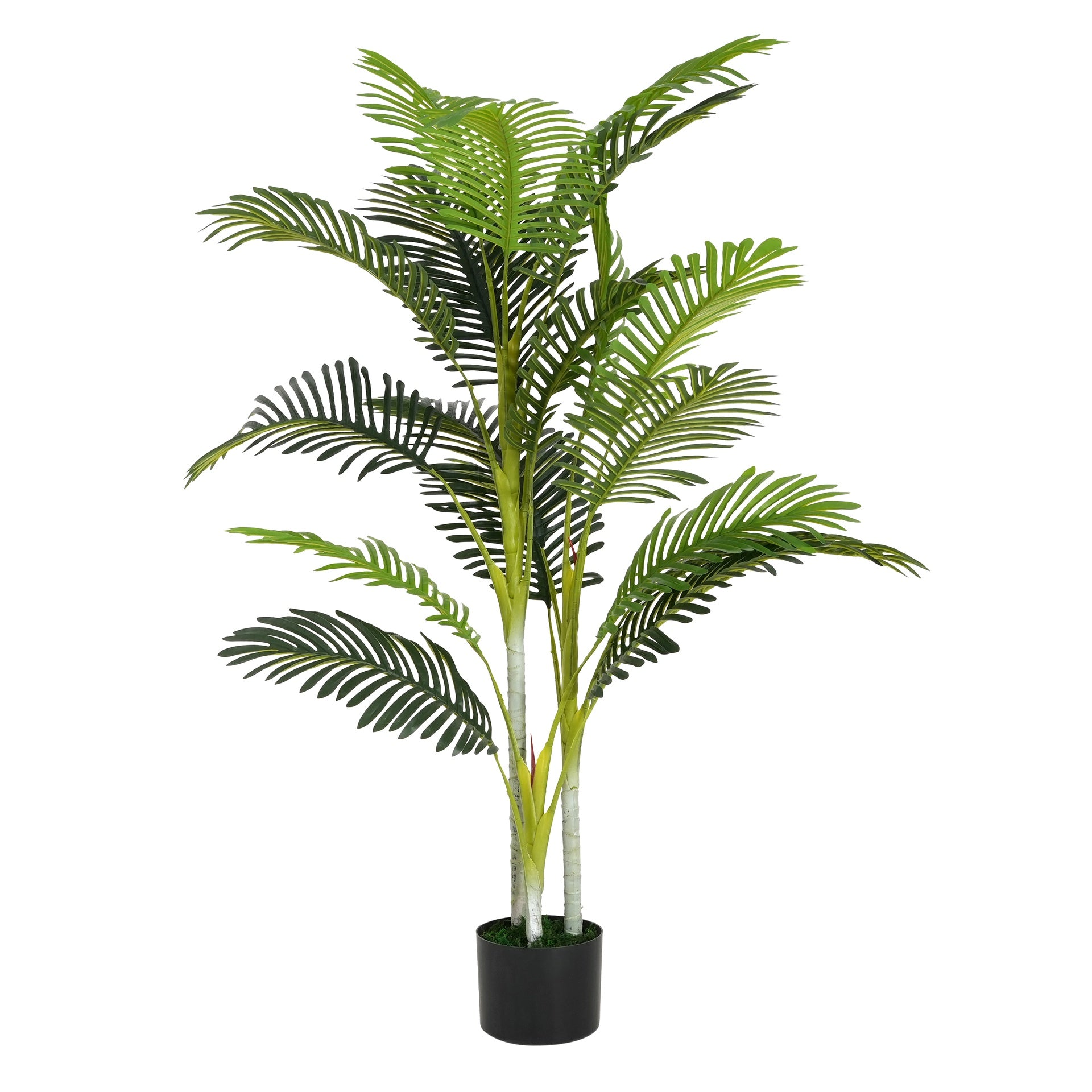 61" Artificial Palm Tree with Black Plastic Pot, Set of 2