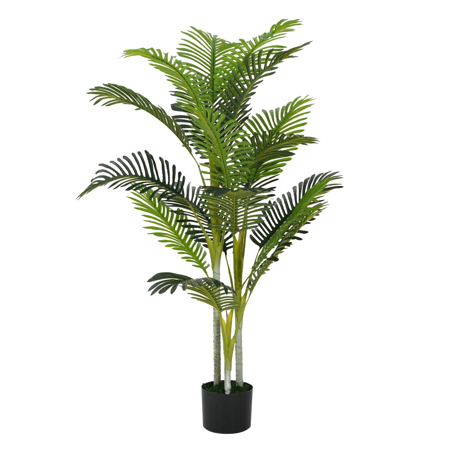 61" Artificial Palm Tree with Black Plastic Pot, Set of 2