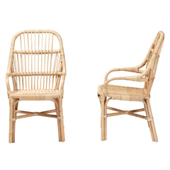Dining Chair
