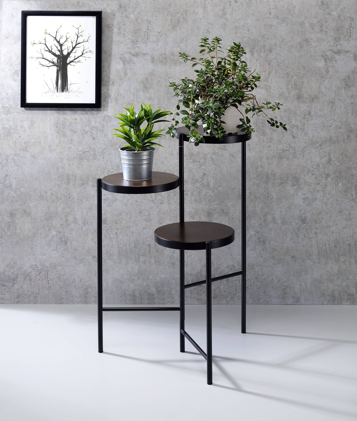 Namid Black Finish Plant Stand