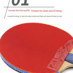 DOUBLE FISHTable Tennis Racket Set, With One Racket And Two Balls
