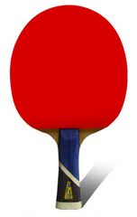 DOUBLE FISHTable Tennis Racket Set, With One Racket And Two Balls