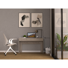 Computer Desk with Two Drawers Writing , Light Gray
