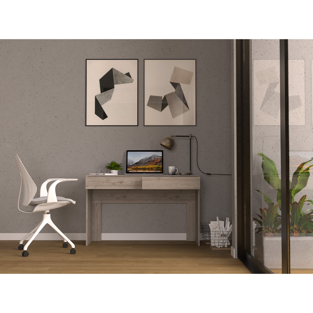 Computer Desk with Two Drawers Writing , Light Gray