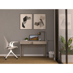 Computer Desk with Two Drawers Writing , Light Gray