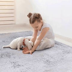 MAVAL Gold Washable Rug 3x5 Area Rug (Gray+Gold, 3' x 5')