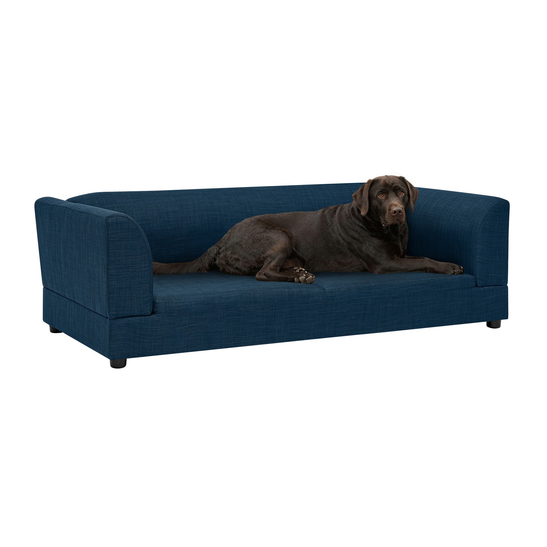 Comfortable Oversized Pet Sofa for Medium/Large Dogs - Modern Rectangular Design with Backrest, Armrests & Soft Cushion -Dark Blue(56.5"*26"*17")