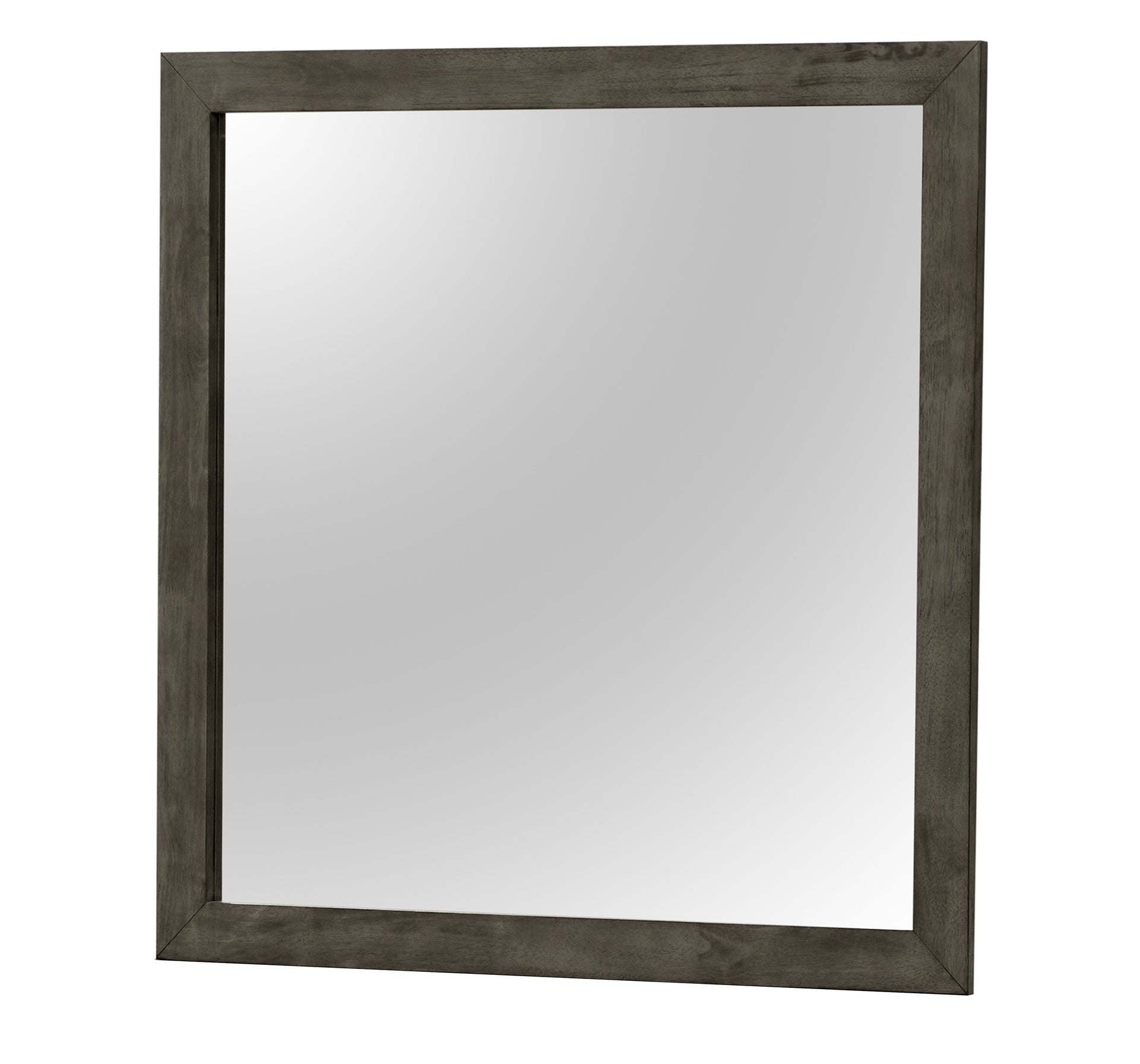 Chic Transitional Gray Wall Mirror