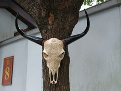Bone-Inspired Bull Head Hanging Ornament-Resin Craft,Lifelike Details,North American Style