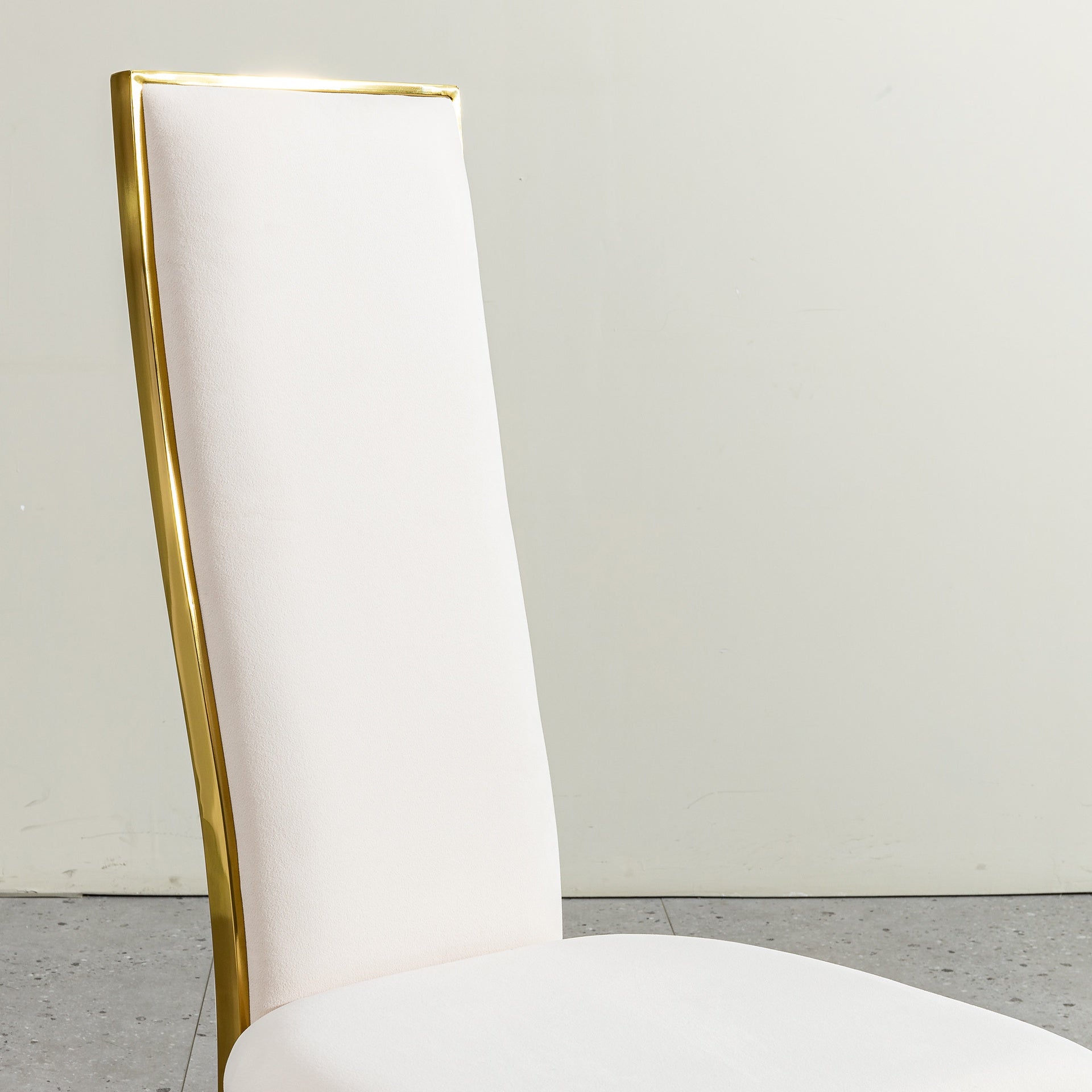 Dining Chairs Set of 2, Modern High Back velvet  Chairs with Gold Stainless Steel Frame, Upholstered Accent Chairs for Dining Room, Kitchen or Living Room