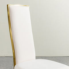 Dining Chairs Set of 2, Modern High Back velvet  Chairs with Gold Stainless Steel Frame, Upholstered Accent Chairs for Dining Room, Kitchen or Living Room